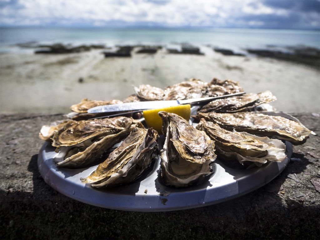 séminaire en bord de mer