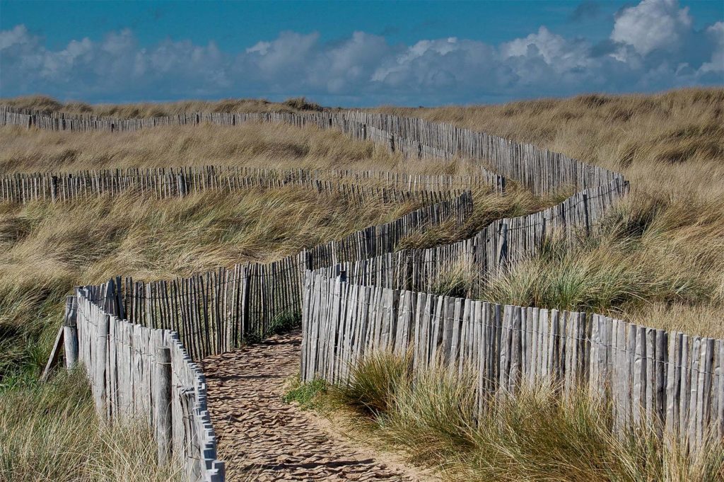 Votre séminaire et team building à Quiberon